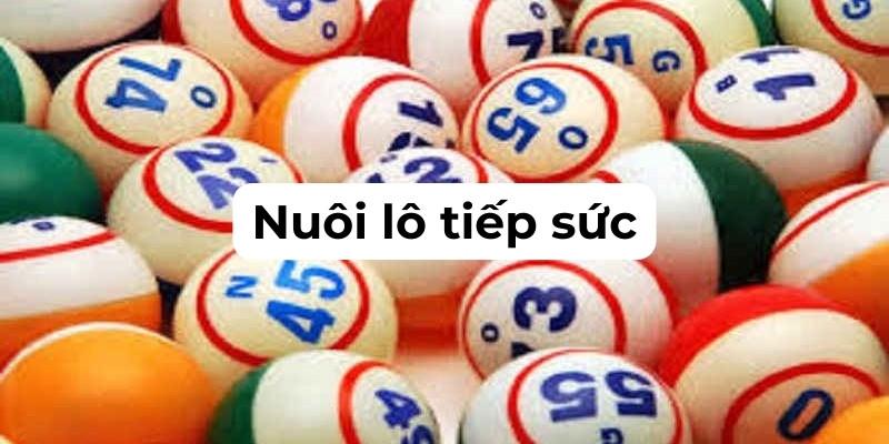 Nuôi Lô Tiếp Sức - Bí Quyết Chơi Lô Đề Hiệu Quả 2025 1 Nuôi lô tiếp sức là một chiến thuật được rất nhiều người quan tâm
